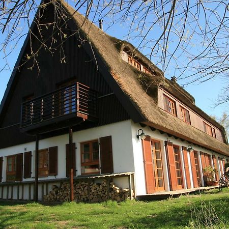 Der Fuchsbau Meesiger Exterior foto